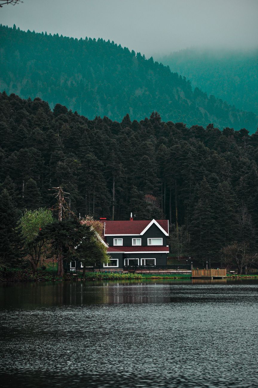 Quiet solitary cabin overlooking fjord