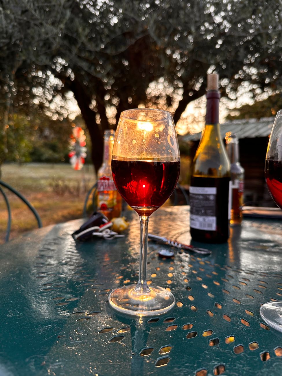 Dining table under olive grove sunset